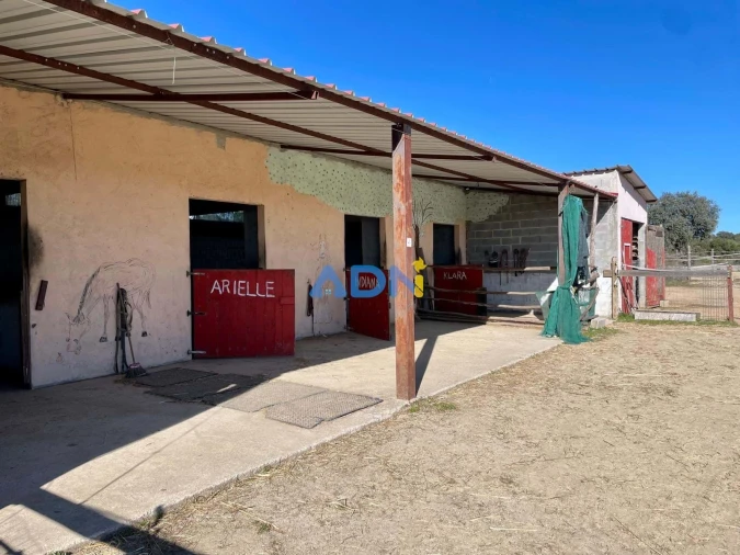 Quinta T1 para Venda em Castelo Branco Foto 48