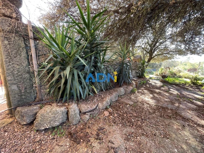 Quinta T1 para Venda em Castelo Branco Foto 27