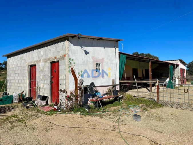 Quinta T1 para Venda em Castelo Branco Foto 49
