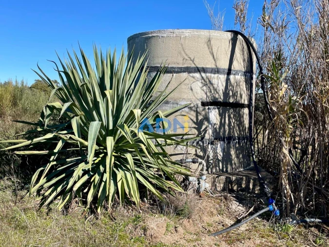 Quinta T1 para Venda em Castelo Branco Foto 59