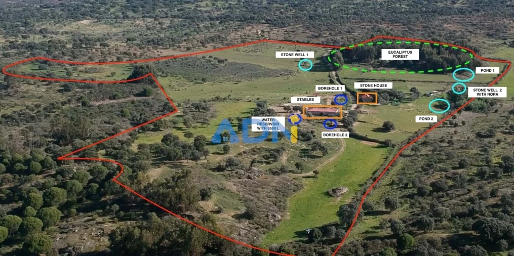 Quinta T1 para Venda em Castelo Branco Foto 83