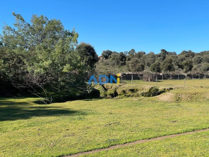 Quinta T1 para Venda em Castelo Branco Foto 32