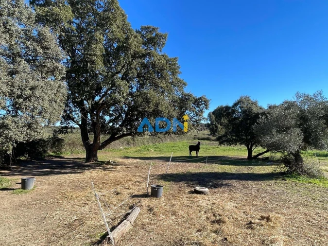 Quinta T1 para Venda em Castelo Branco Foto 38