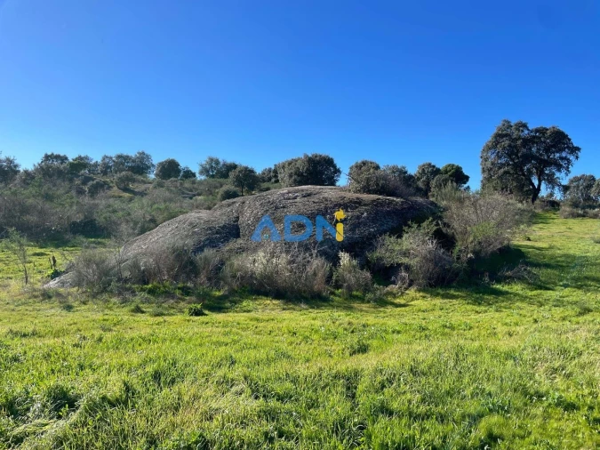 Quinta T1 para Venda em Castelo Branco Foto 75