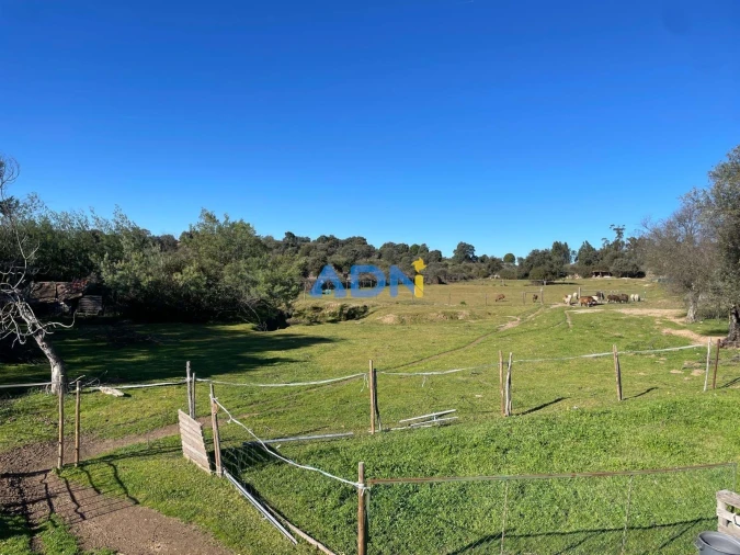 Quinta T1 para Venda em Castelo Branco Foto 37