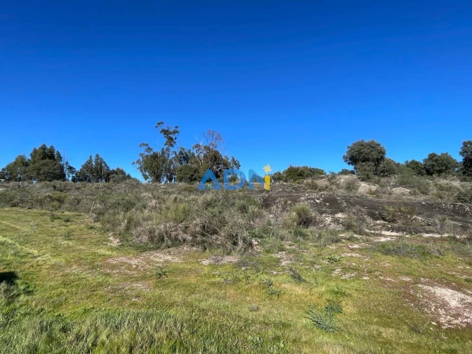 Quinta T1 para Venda em Castelo Branco Foto 77