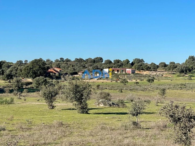 Quinta T1 para Venda em Castelo Branco Foto 3