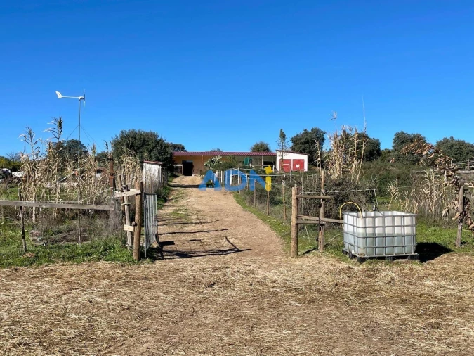 Quinta T1 para Venda em Castelo Branco Foto 44