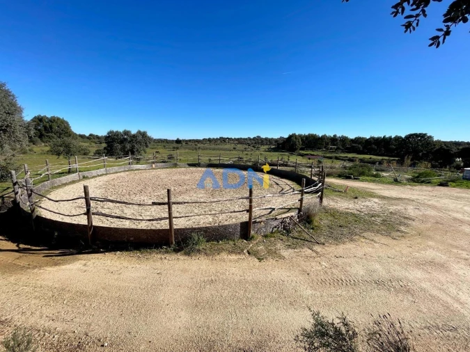 Quinta T1 para Venda em Castelo Branco Foto 55