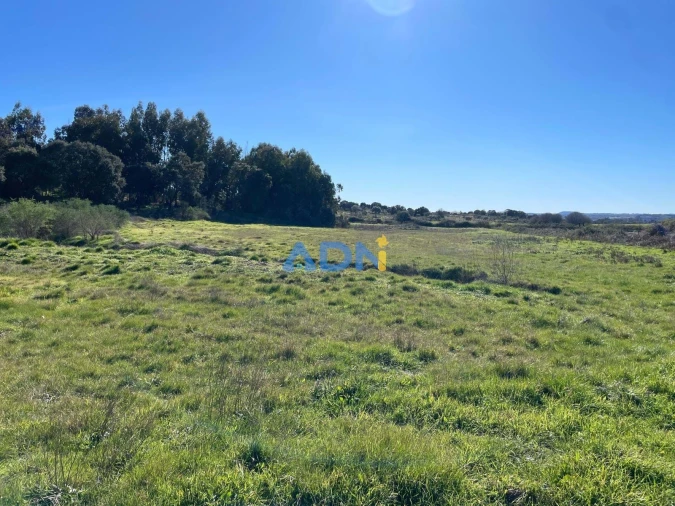 Quinta T1 para Venda em Castelo Branco Foto 36