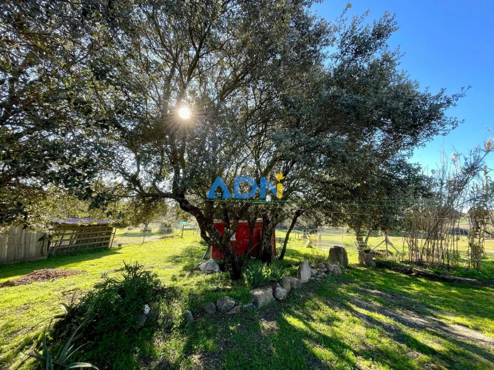 Quinta T1 para Venda em Castelo Branco Foto 30