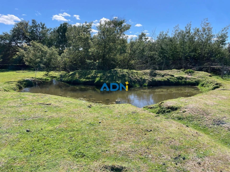 Quinta T1 para Venda em Castelo Branco Foto 33