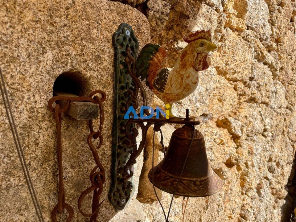 Quinta T1 para Venda em Castelo Branco Foto 9