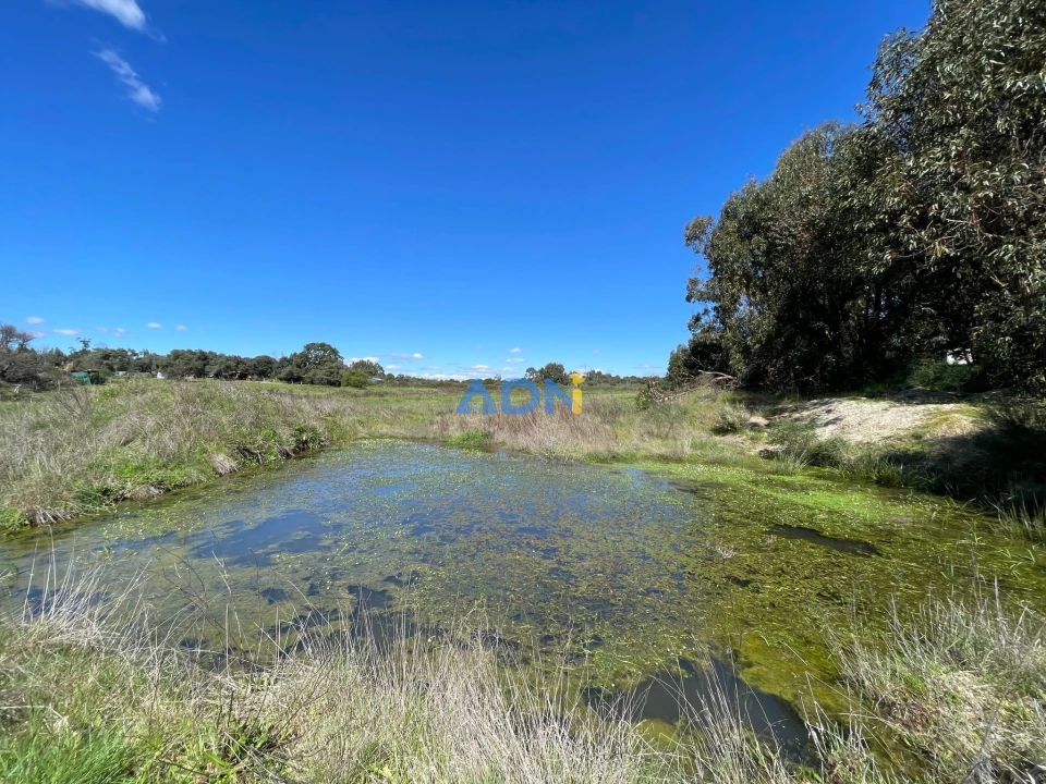 Quinta T1 para Venda em Castelo Branco Foto 72