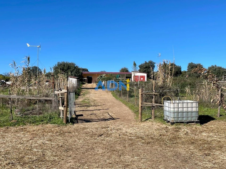 Quinta T1 para Venda em Castelo Branco Foto 44