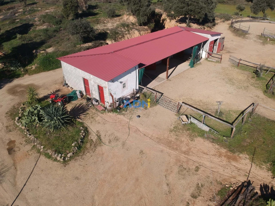 Quinta T1 para Venda em Castelo Branco Foto 47