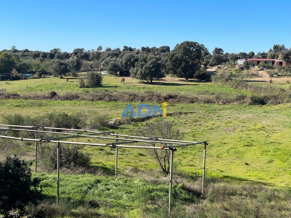 Quinta T1 para Venda em Castelo Branco Foto 57