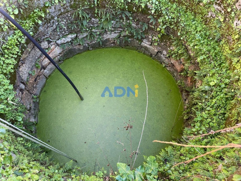 Quinta T1 para Venda em Castelo Branco Foto 66