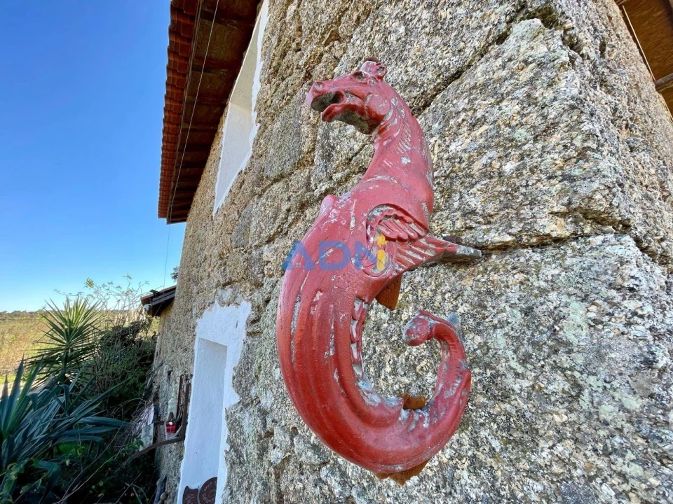 Quinta T1 para Venda em Castelo Branco Foto 25