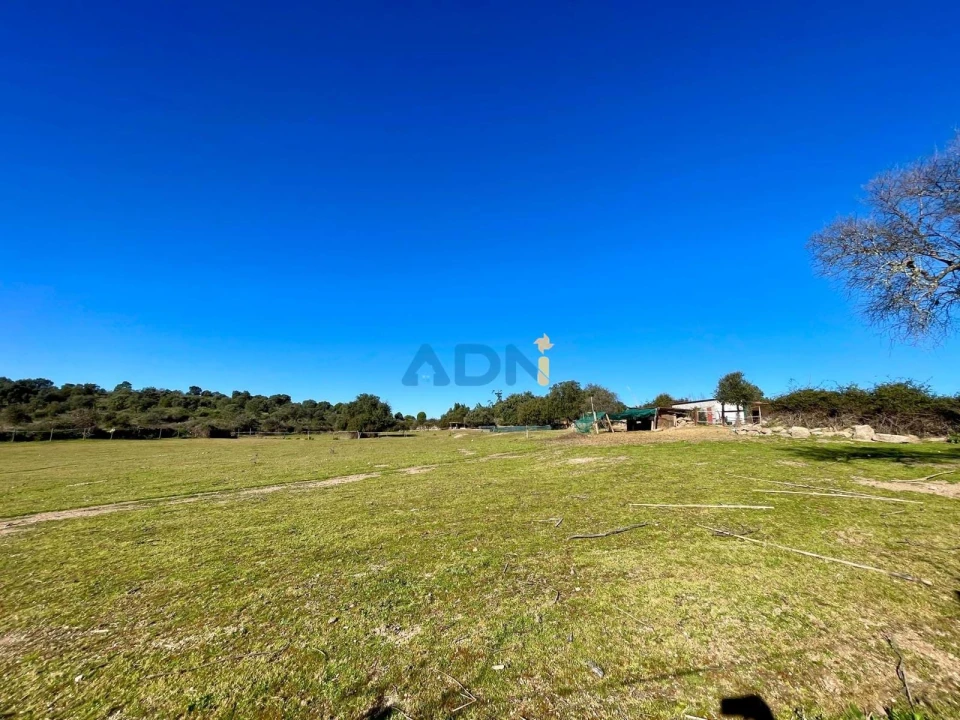 Quinta T1 para Venda em Castelo Branco Foto 61