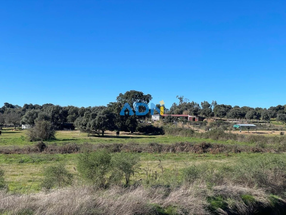 Quinta T1 para Venda em Castelo Branco Foto 42