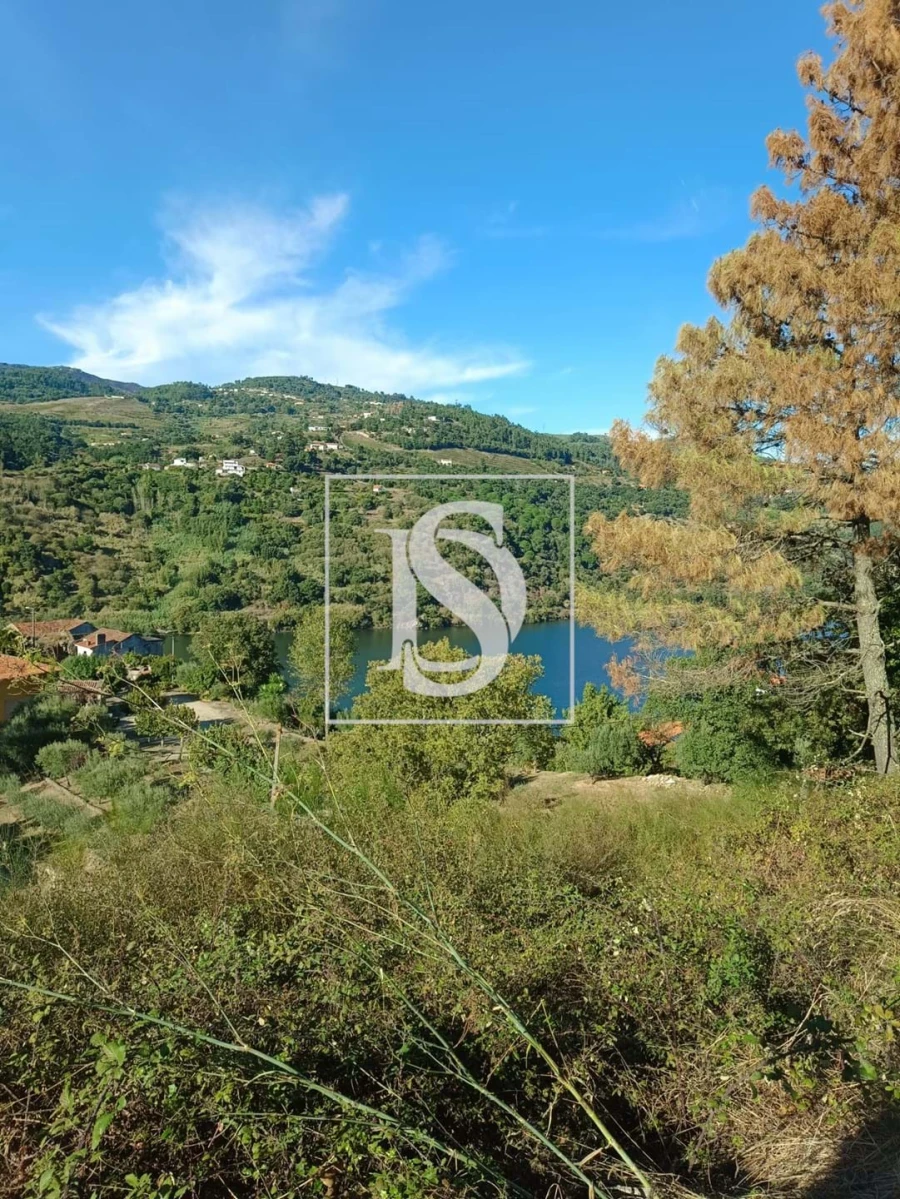 Terreno para Venda em Anreade e São Romão de Aregos Foto 7