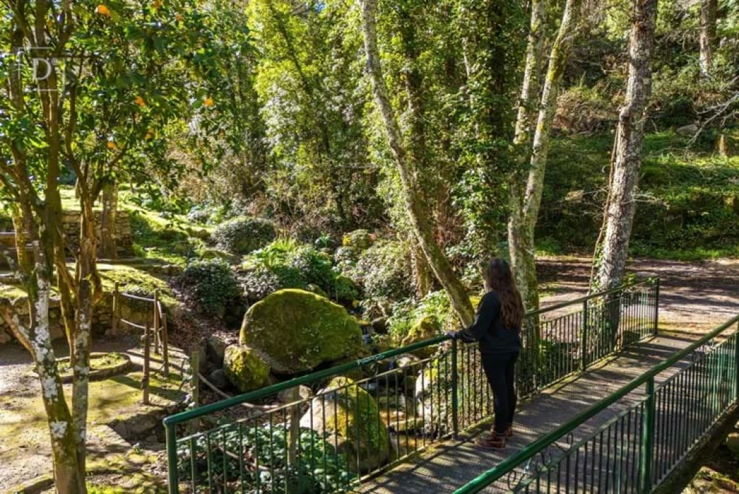 Negócio para Venda em Monchique Foto 2