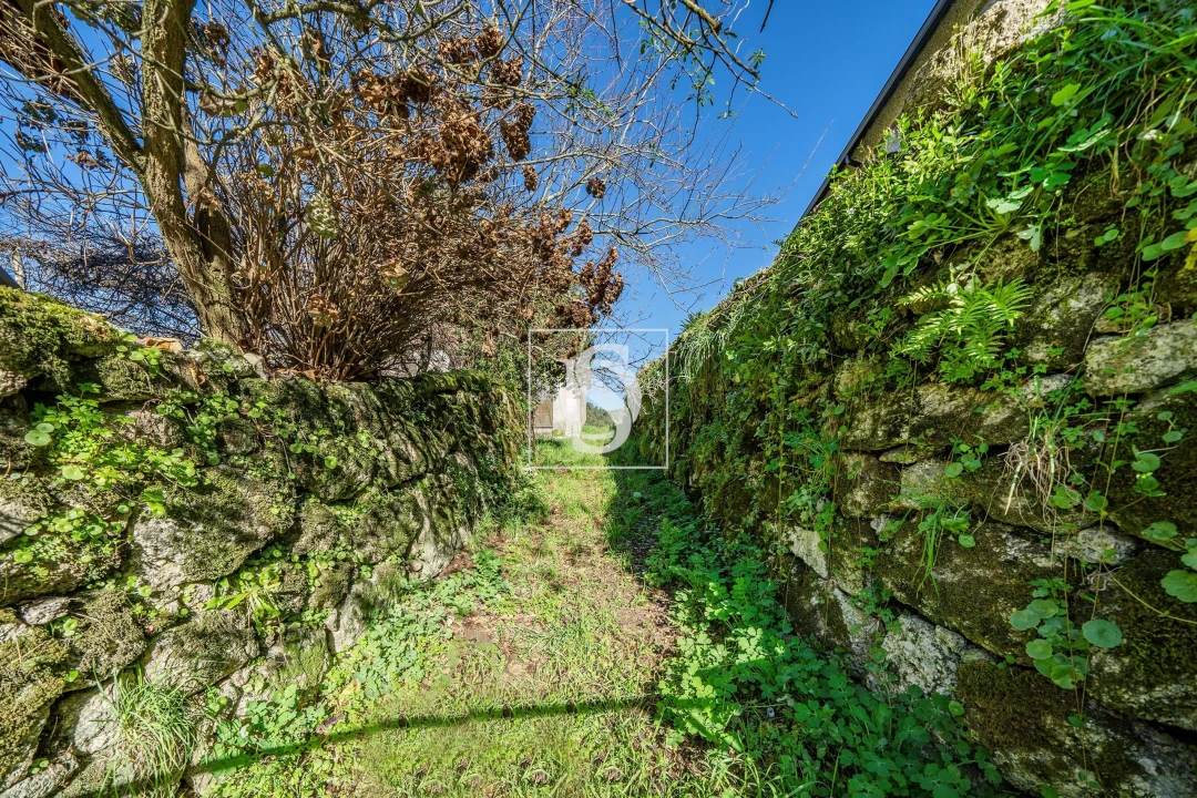 Quinta T13 para Venda em Rossas Foto 25