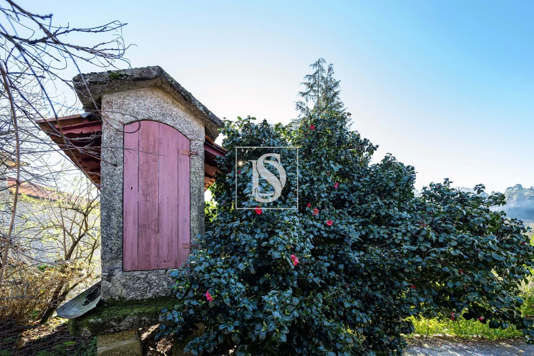 Quinta T13 para Venda em Rossas Foto 35