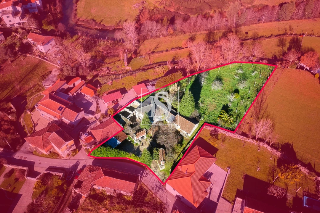 Quinta T13 para Venda em Rossas Foto 4