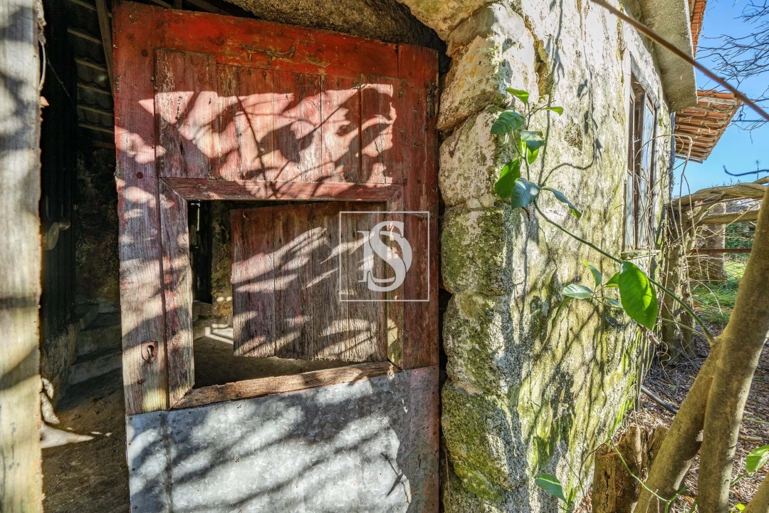 Quinta T13 para Venda em Rossas Foto 17