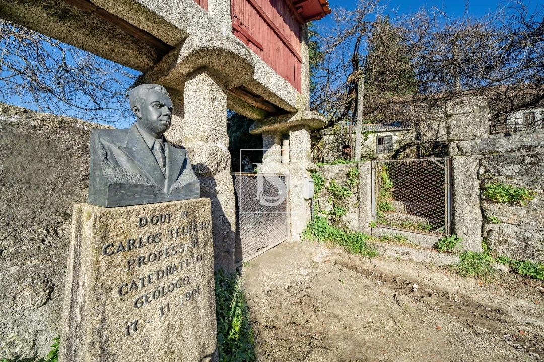 Quinta T13 para Venda em Rossas Foto 2