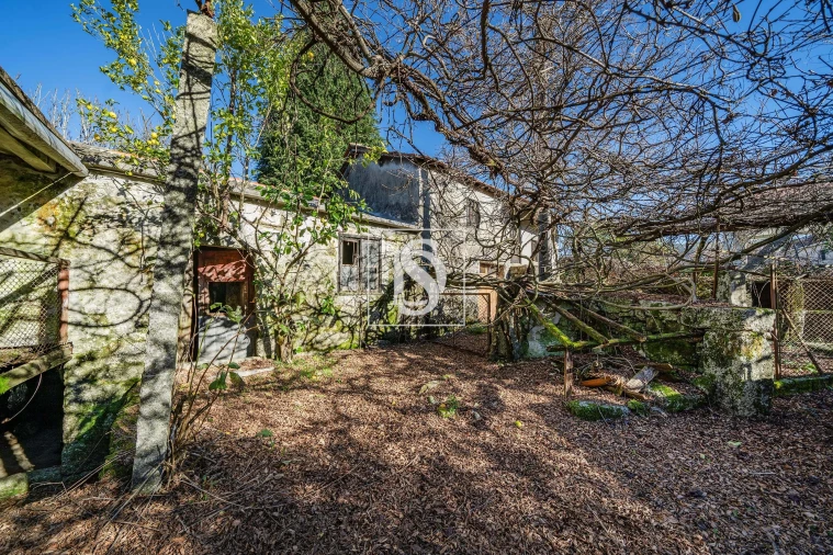 Quinta T13 para Venda em Rossas Foto 6