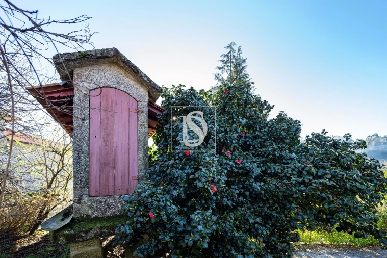 Quinta T13 para Venda em Rossas Foto 35