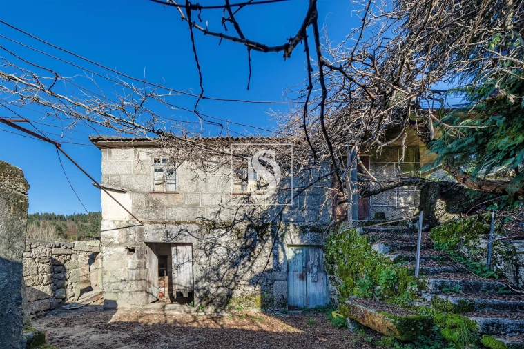 Quinta T13 para Venda em Rossas Foto 21