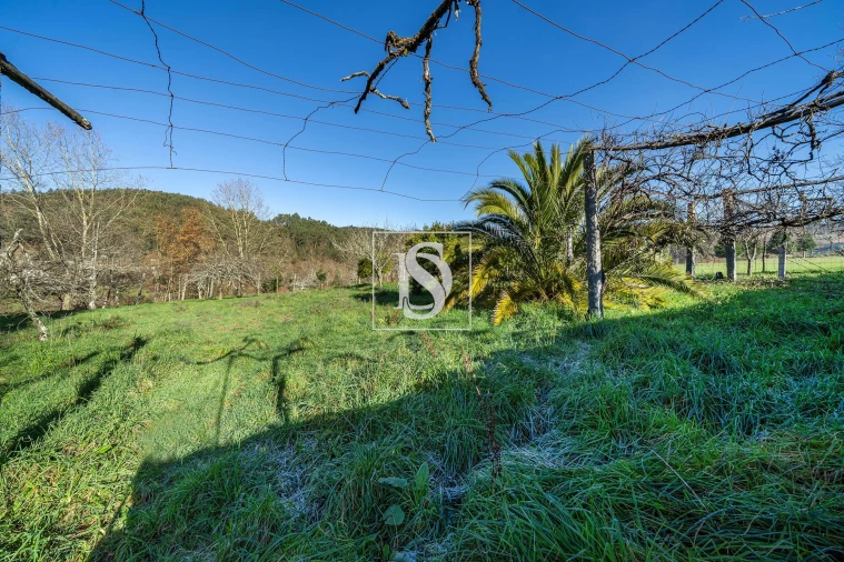 Quinta T13 para Venda em Rossas Foto 31