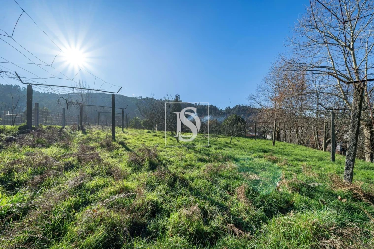 Quinta T13 para Venda em Rossas Foto 26