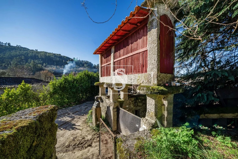 Quinta T13 para Venda em Rossas Foto 9