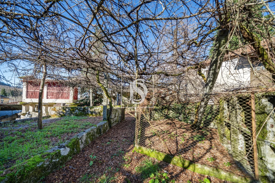 Quinta T13 para Venda em Rossas Foto 32