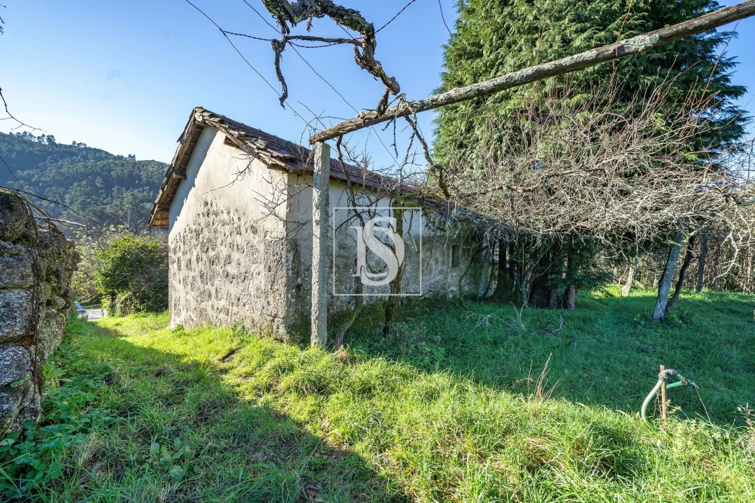 Quinta T13 para Venda em Rossas Foto 30