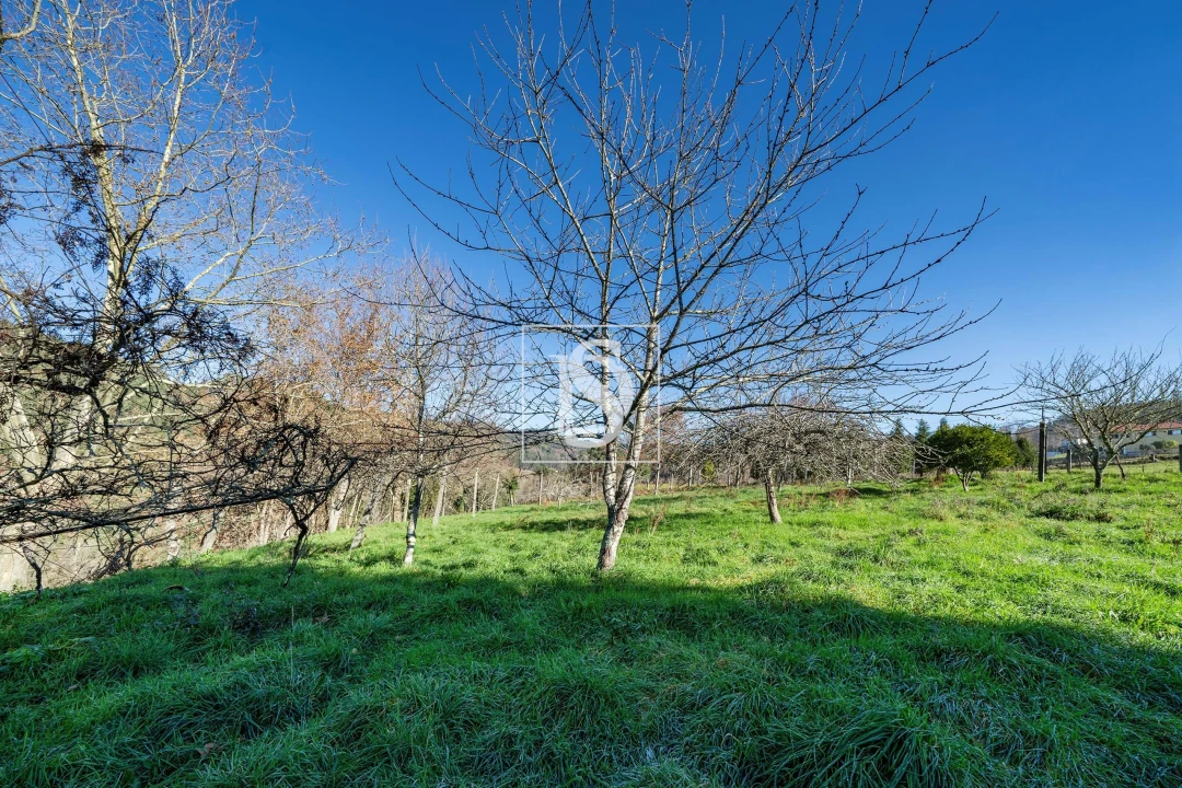 Quinta T13 para Venda em Rossas Foto 28