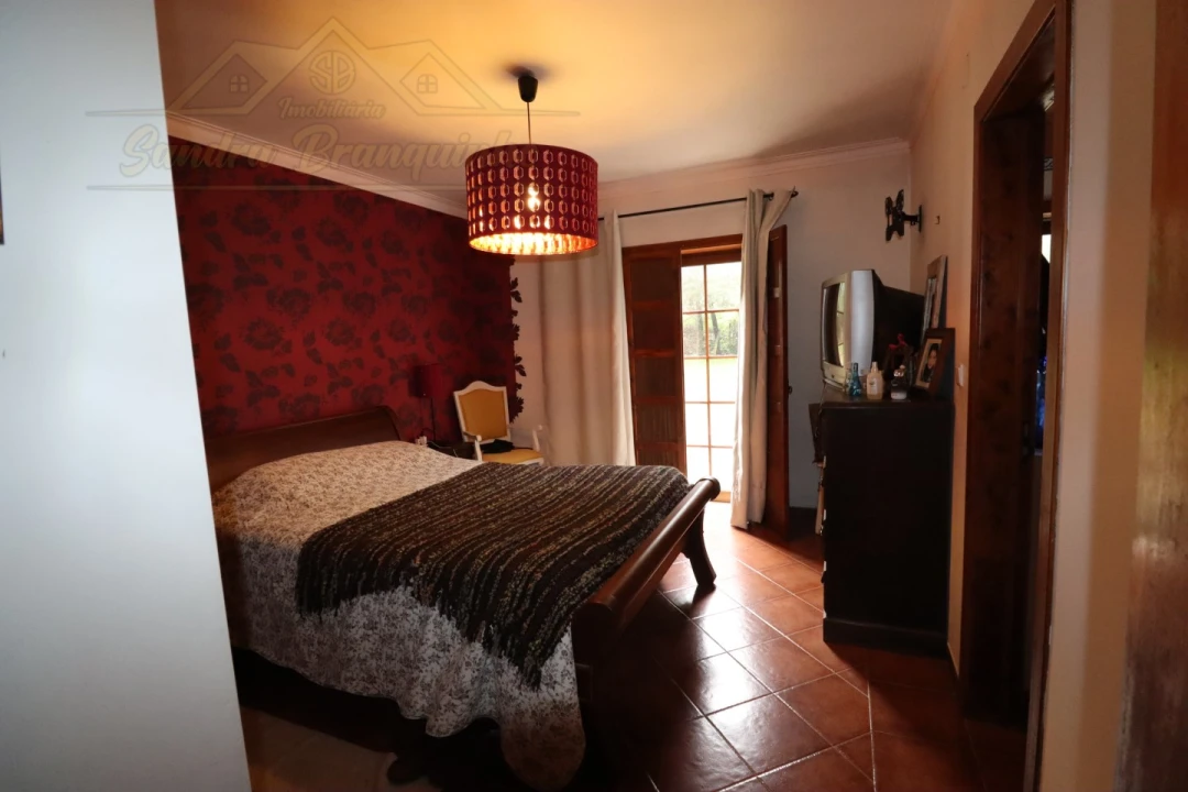 Moradia T4 para Venda em Ribafria e Pereiro de Palhacana Foto 18