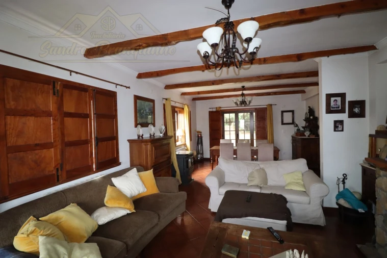 Moradia T4 para Venda em Ribafria e Pereiro de Palhacana Foto 6