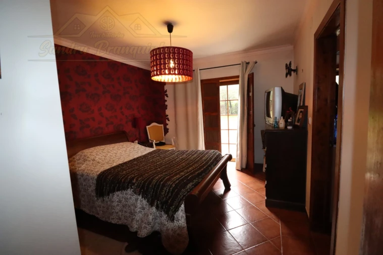 Moradia T4 para Venda em Ribafria e Pereiro de Palhacana Foto 18