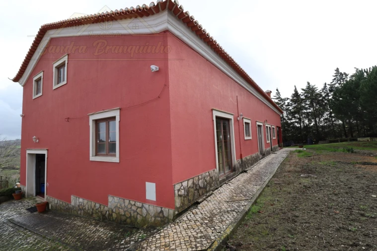 Moradia T4 para Venda em Ribafria e Pereiro de Palhacana Foto 27