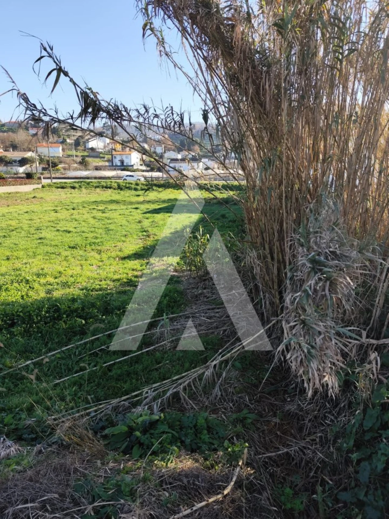 Terreno Misto para Venda em Gondarem Foto 4