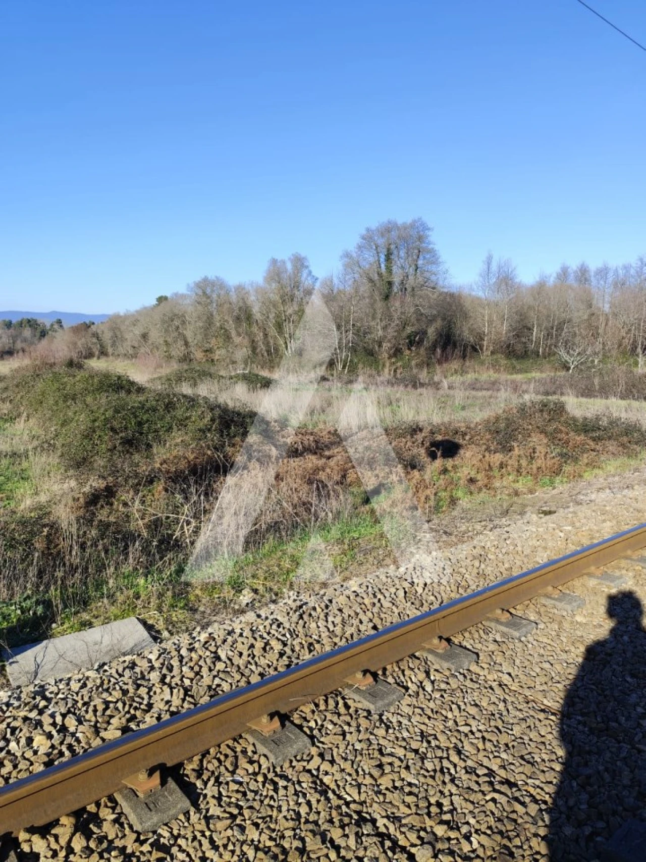 Terreno Misto para Venda em Gondarem Foto 8