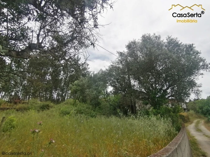 Moradia T1 para Venda em Cumeada e Marmeleiro Foto 6