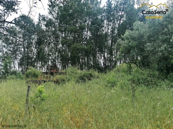 Moradia T1 para Venda em Cumeada e Marmeleiro Foto 5