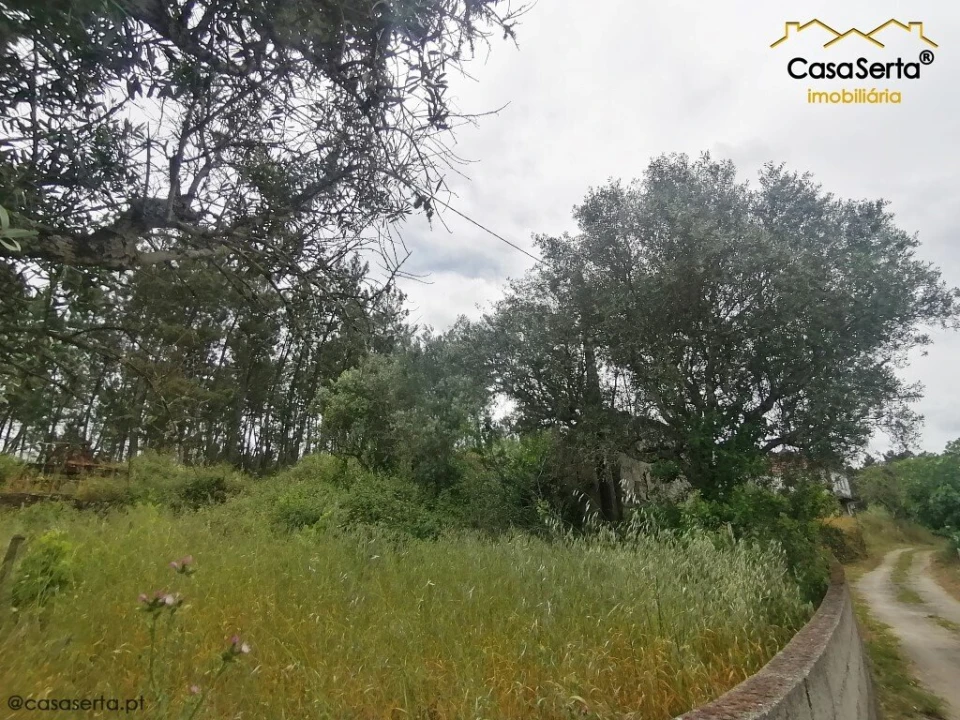 Moradia T1 para Venda em Cumeada e Marmeleiro Foto 6